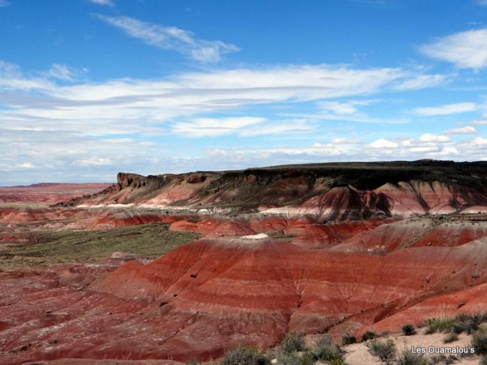 Painted Desert