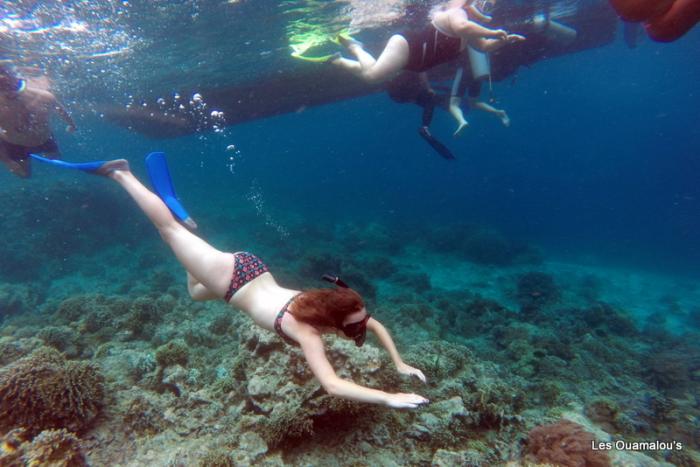 Plongée à Pulau Menjangan