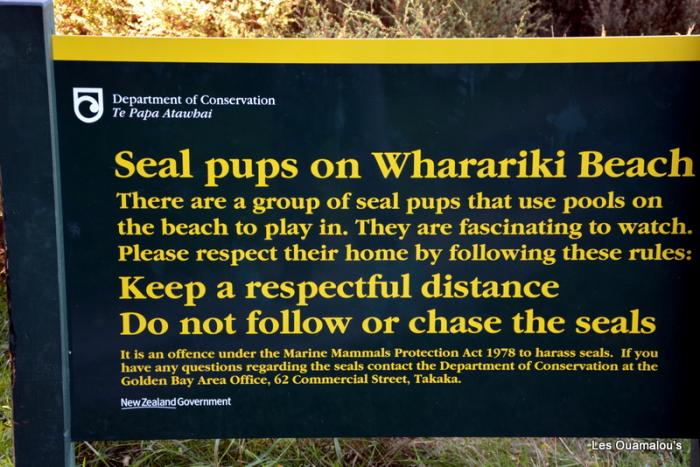 Wharakiri beach