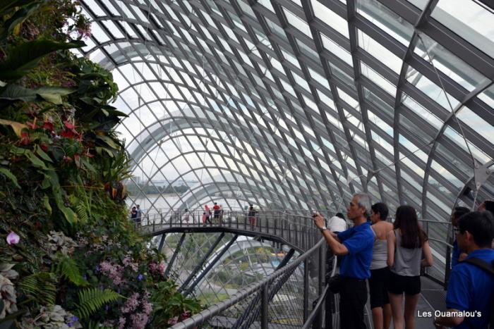 Singapour - Gardens by the Bay