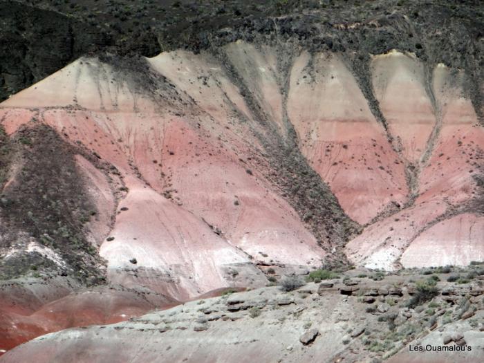 Painted Desert