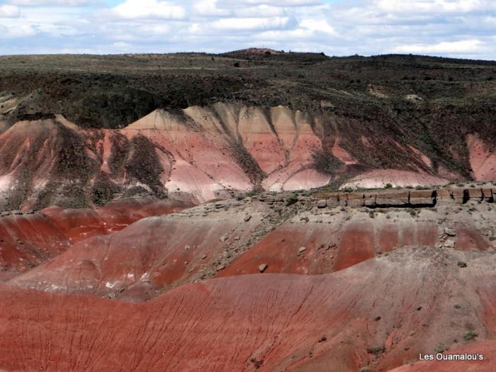 Painted Desert