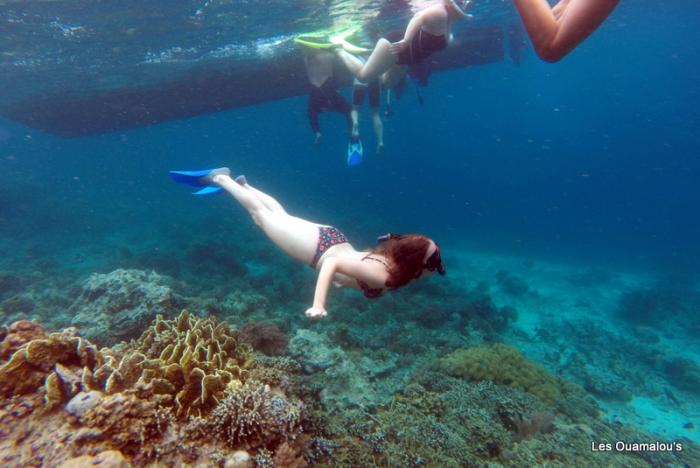 Plongée à Pulau Menjangan