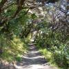 Wharakiri beach