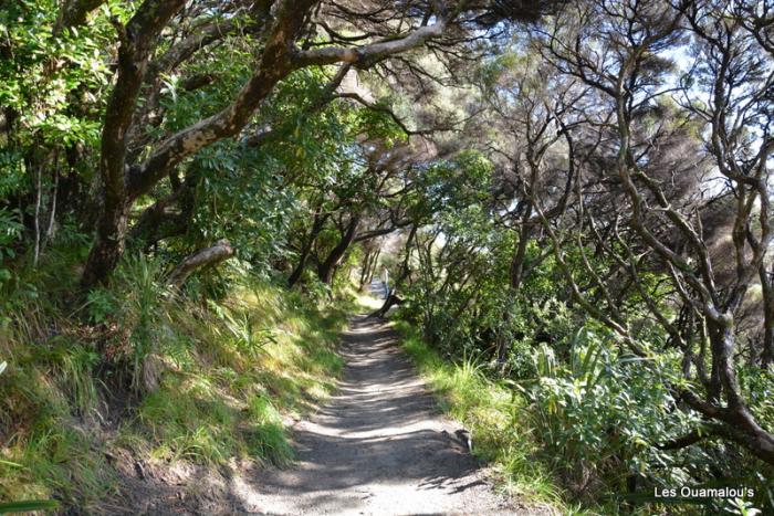 Wharakiri beach