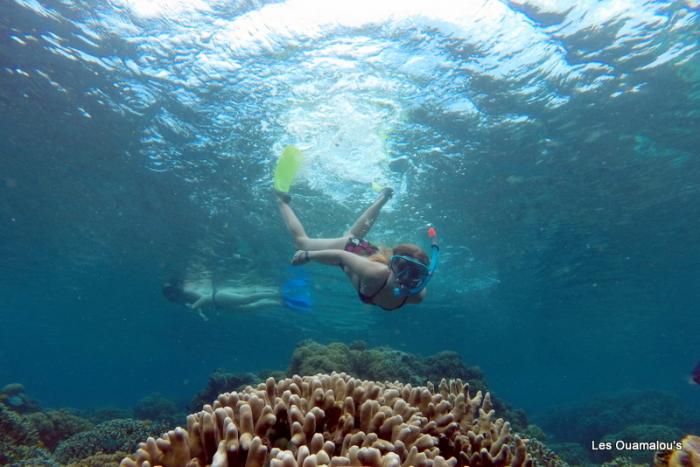 Plongée à Pulau Menjangan