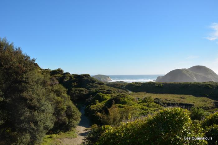 Wharakiri beach