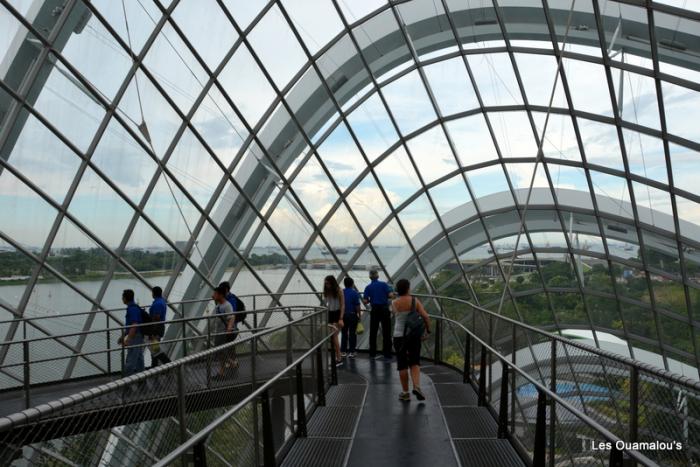 Singapour - Gardens by the Bay