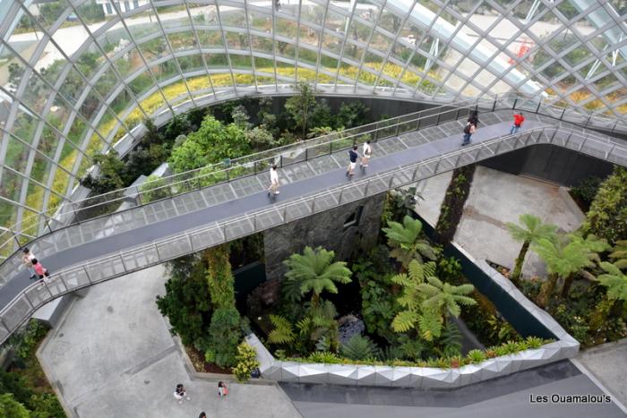 Singapour - Gardens by the Bay