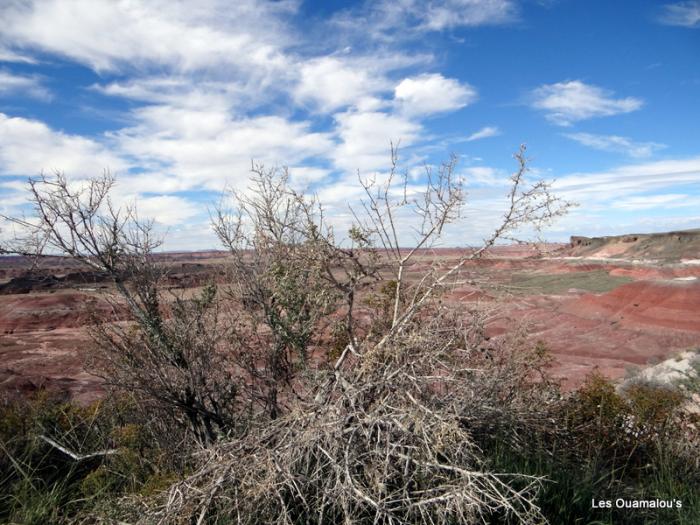 Painted Desert