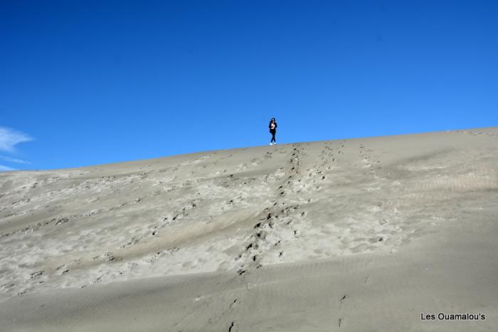 Wharakiri beach