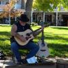 Guitarman Steve : Artiste local