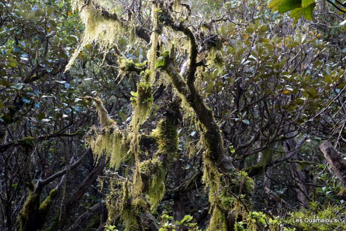 Egmont National Park