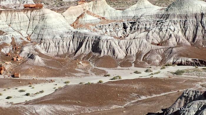 Painted Desert