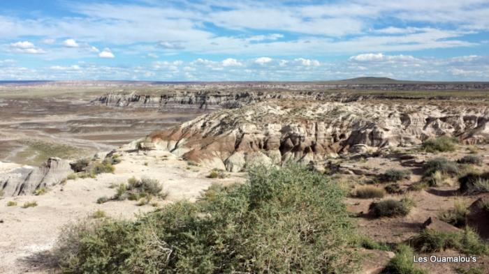 Painted Desert