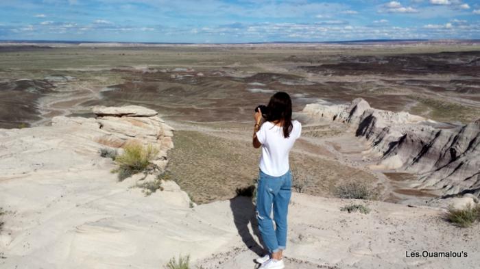 Painted Desert