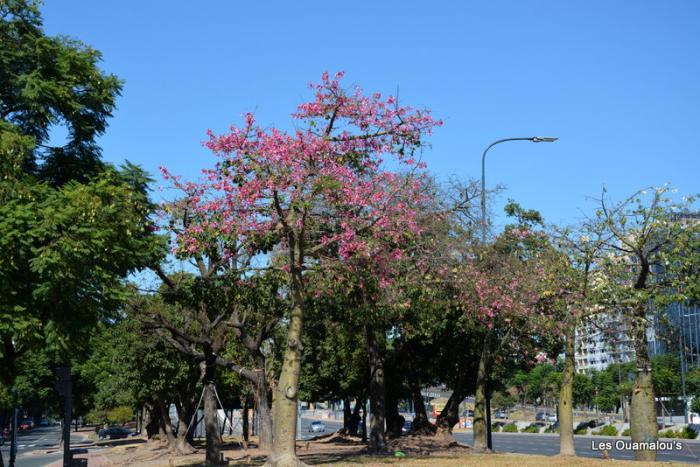 Centre de Buenos Aires