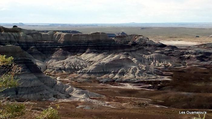 Painted Desert