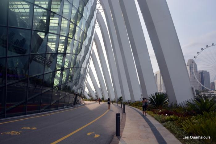 Singapour - Gardens by the Bay