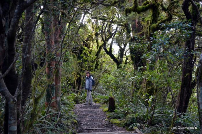 Egmont National Park