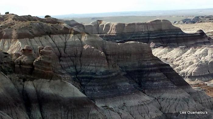 Painted Desert