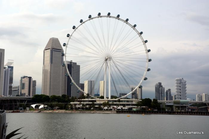 Singapour - Gardens by the Bay