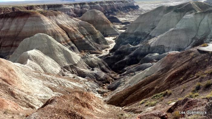 Painted Desert