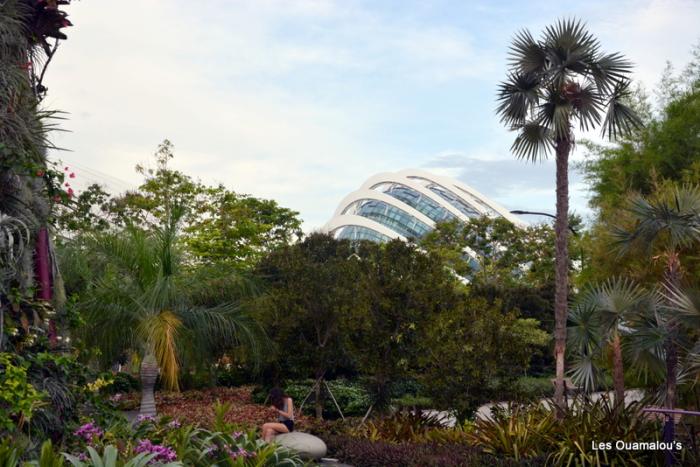 Singapour - Gardens by the Bay