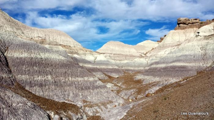 Painted Desert