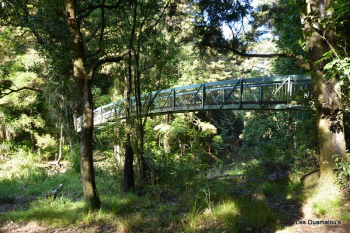 Whangarei Falls