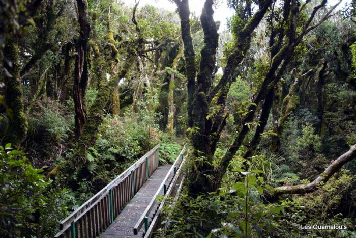 Egmont National Park