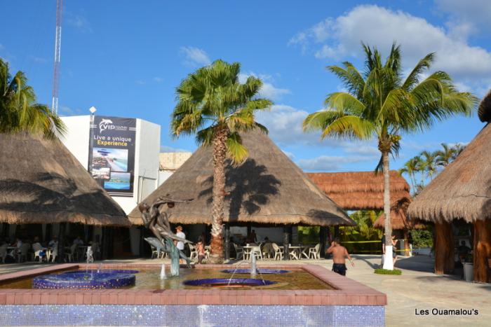 Dolphin Center de Isla Mujeres
