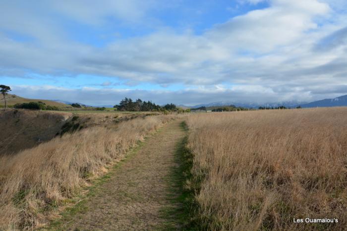 Kaikoura