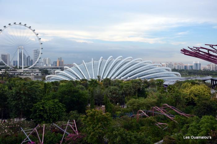 Singapour - Gardens by the Bay