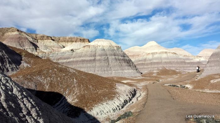 Painted Desert