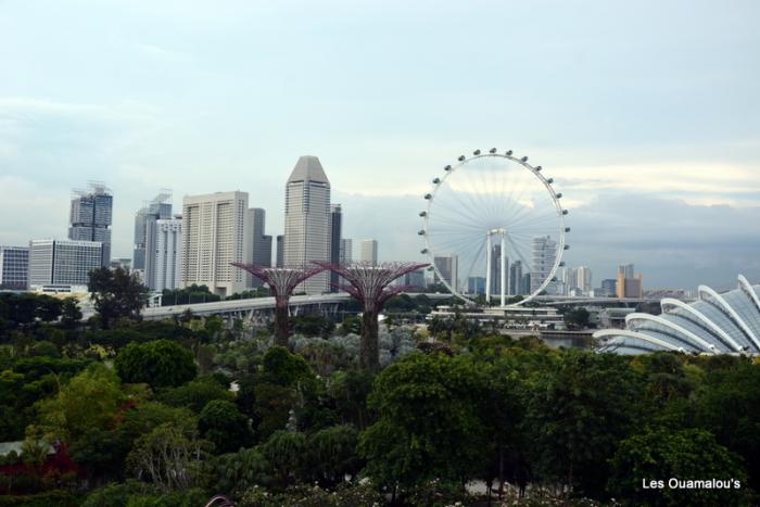 Singapour - Gardens by the Bay