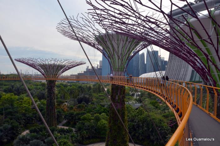 Singapour - Gardens by the Bay