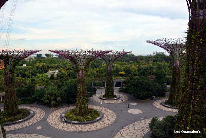 Singapour - Gardens by the Bay