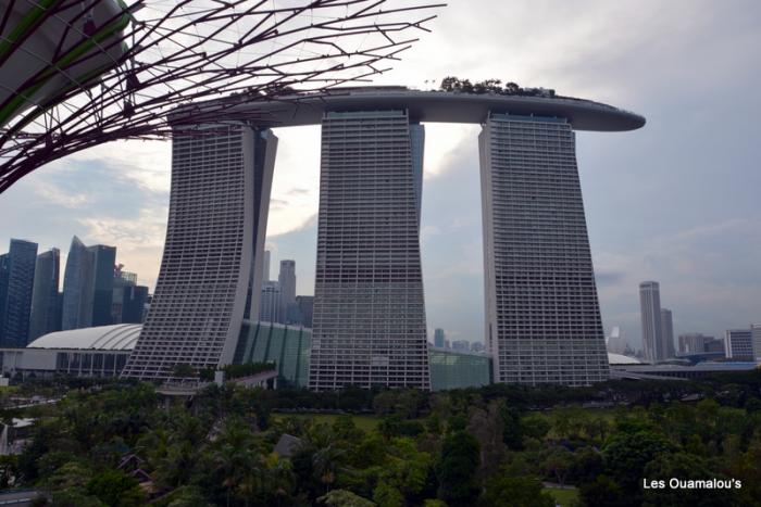 Singapour - Gardens by the Bay