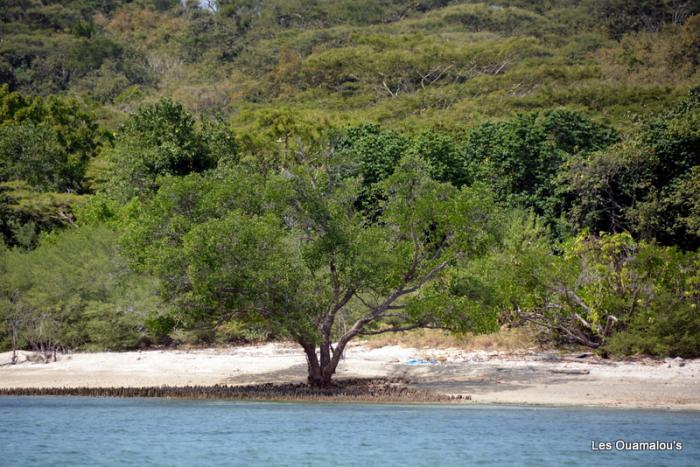 Plongée à Pulau Menjangan