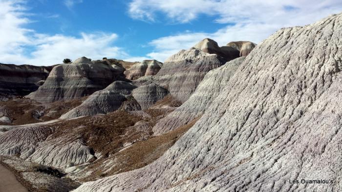 Painted Desert