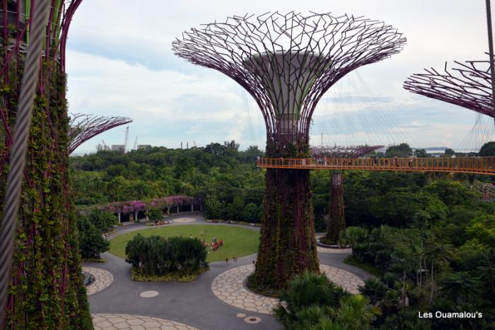 Singapour - Gardens by the Bay