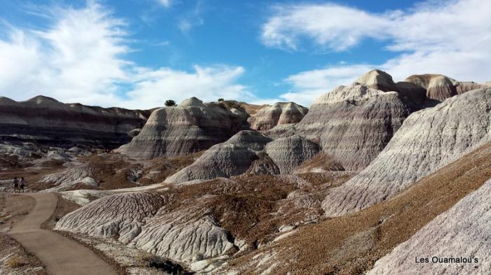 Painted Desert