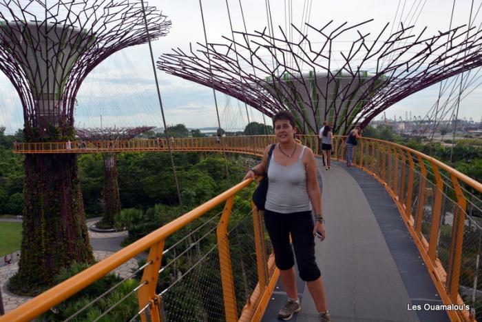 Singapour - Gardens by the Bay