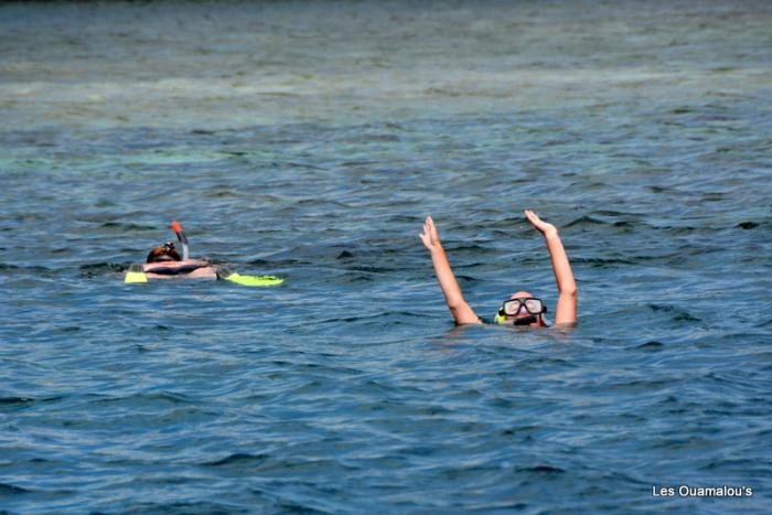 Plongée à Pulau Menjangan