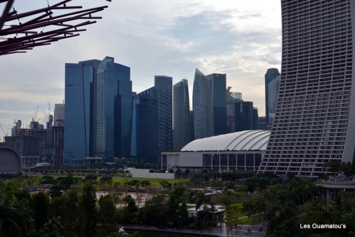 Singapour - Gardens by the Bay