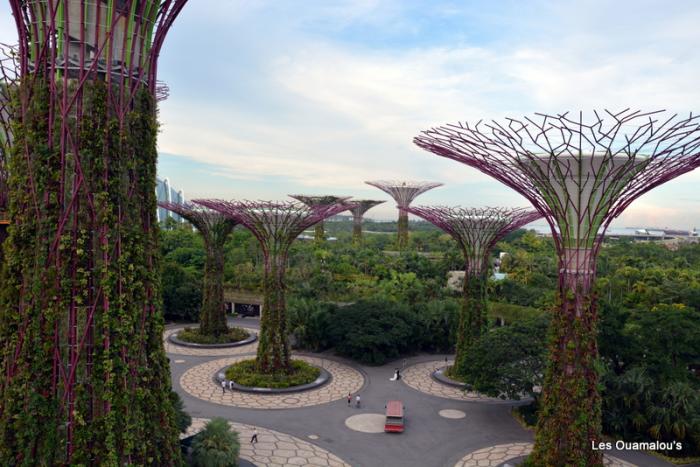 Singapour - Gardens by the Bay