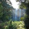 Whangarei Falls