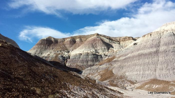 Painted Desert