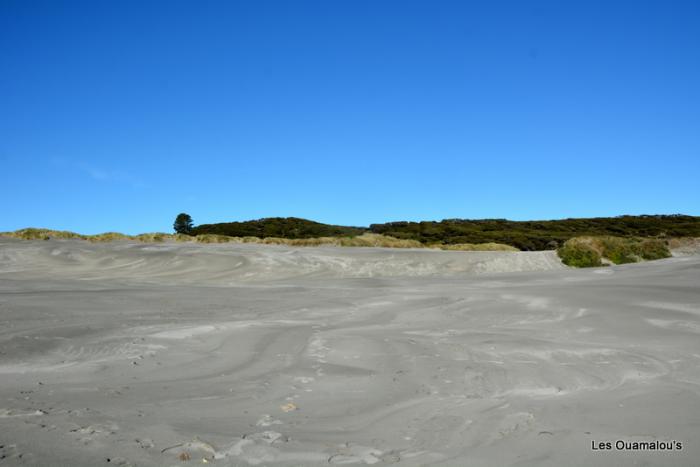 Wharakiri beach